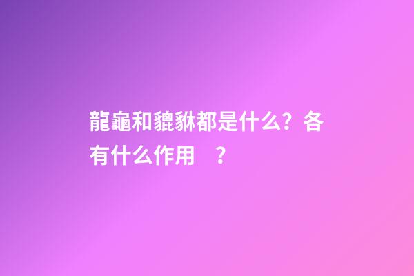 龍龜和貔貅都是什么？各有什么作用？